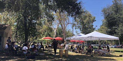 Community Band in the Park