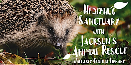 Hedgehog Sanctuary at Wallasey Central Library