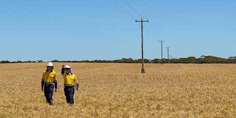 Western Power: What’s in our upcoming regulatory submission (AA4) - Albany primary image