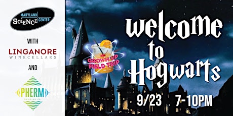 Grown Up Field Trip: Welcome to Hogwarts