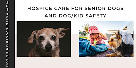Hospice Care for Senior Dogs and Dog/Kid Safety