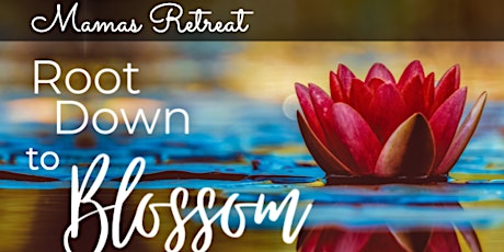 Primaire afbeelding van Root Down to Blossom - Day Retreat: Summer session