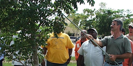 Tree Trimmer Certification: BASIC ENGLISH
