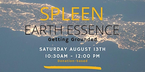 Spleen: The Earth Essence   -   Getting Grounded