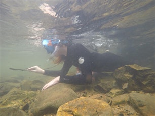 Snorkeling in Whitetop-Laurel with Blue Ridge Discovery Center primary image