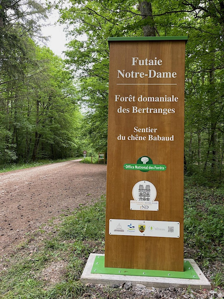 Image pour Visite guidée gratuite de la Futaie Notre-Dame en forêt des Bertranges 