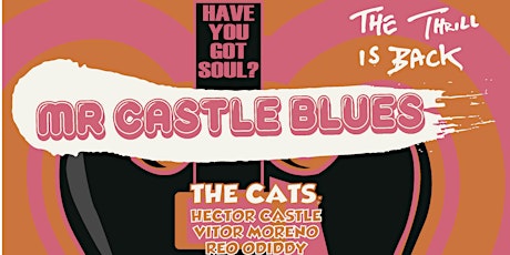 Mr Castle Blues Trio