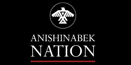 Anishinabek Nation UNDRIP Engagement Sessions