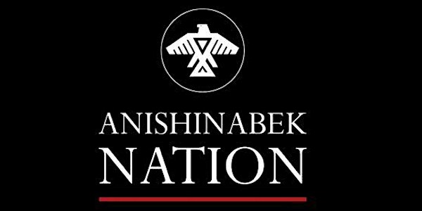 Anishinabek Nation UNDRIP Engagement Sessions