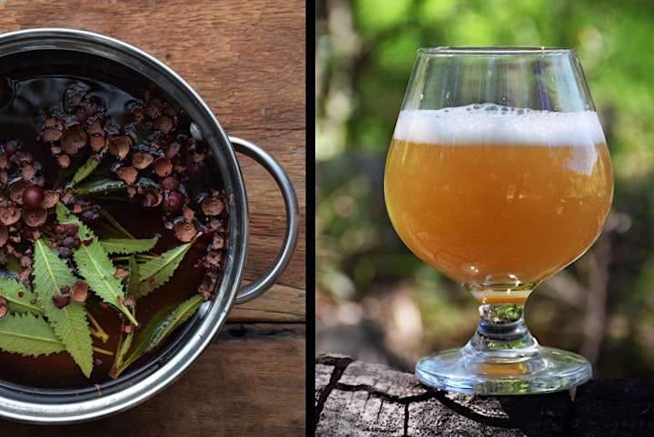 Brewing Wild Beers, Extracting Wild Yeast + Plants Walk, Snacks and Drinks image