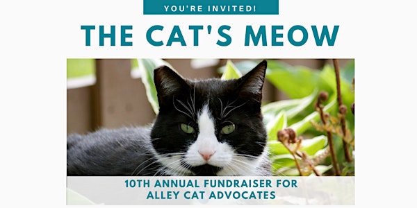 10th Annual Cat's Meow Fundraiser and Online Wheel of Chance