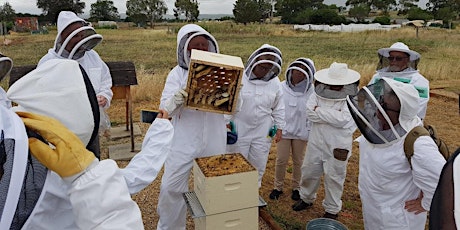October Beekeeping for Beginners - 2 Day Course