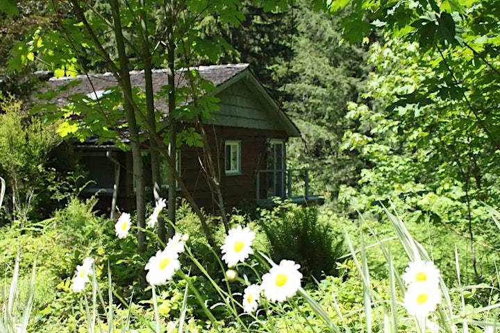 Summer Celebration + Connection : Women's Wellness Retreat In Nature image