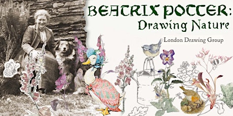 BEATRIX POTTER: Drawing Nature
