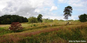 Mashomack Grassland Botanical Hike tickets