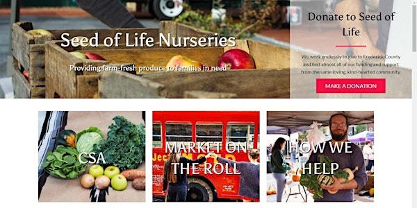 Seed of Life Website Launch Party