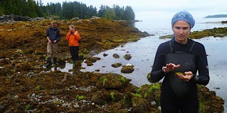 Edible Seaweed Identification Foray with Dakini Tidal Wilds & Wild Mountain primary image