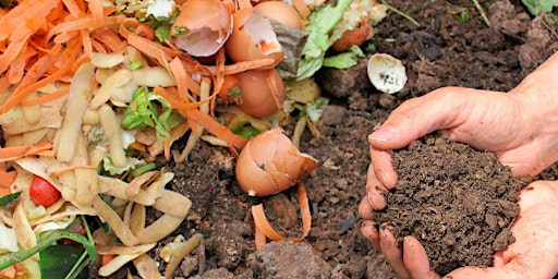 Composting and worm farms