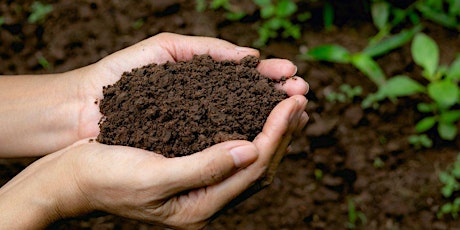 Healthy soil creation with biodynamics