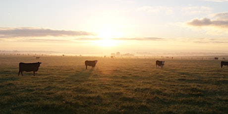 Immagine principale di Rural Engagement Group Morning Tea 