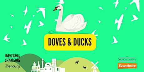 Doves & Ducks