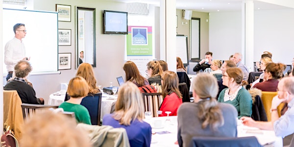 Bite-sized Learning: Email marketing - how to set up your system for bringing in more clients