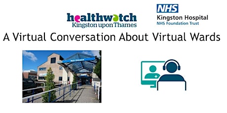 Virtual Conversation About Virtual Wards