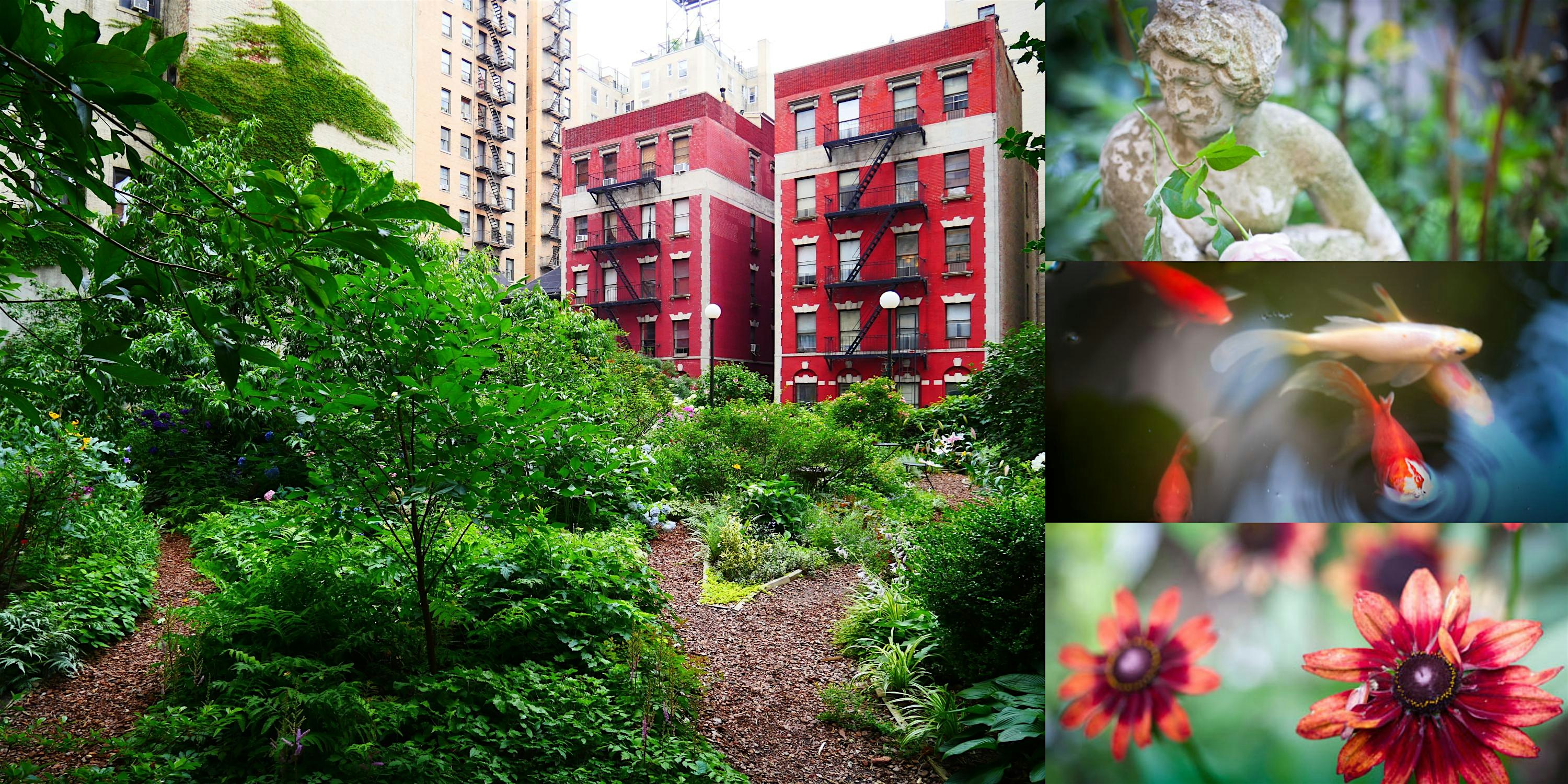 Private Tour & Refreshments @ Lotus Garden, Hidden Rooftop Garden