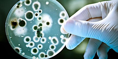 The Big Talk: why antimicrobial resistance needs a global persistence