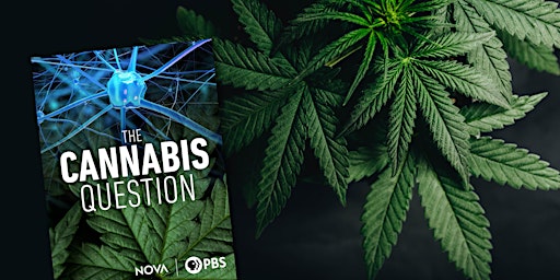 "The Cannabis Question" Screening and Q&A