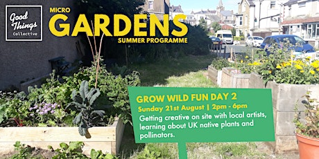 Micro Garden's Summer Programme: Growing Wild Fund Day 2.
