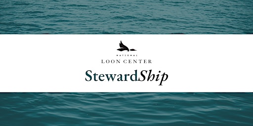 StewardShip Excursion primary image