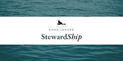 StewardShip Excursion primary image