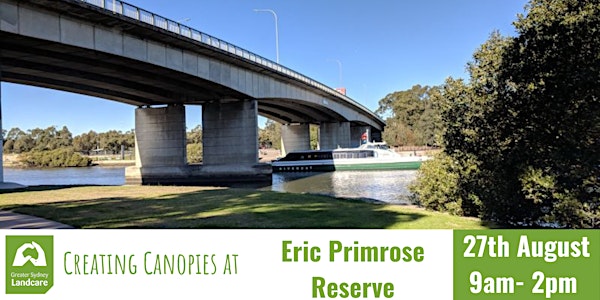 Creating Canopies at Eric Primrose Reserve