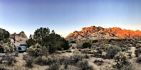 Ecology of Leadership Mojave Desert Immersion (Alumni Only) 2017 primary image