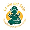 Logotipo de LA VIA DEL SOLE