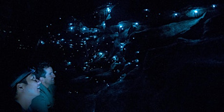 Blue Mountains Glow Worm Tour Night Walk ::  Mt Tomah - Berambing primary image