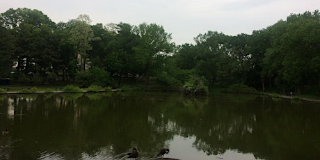 Ananda Marga Meditation - Three hours long meditation in Captain Tilly Park by the pond