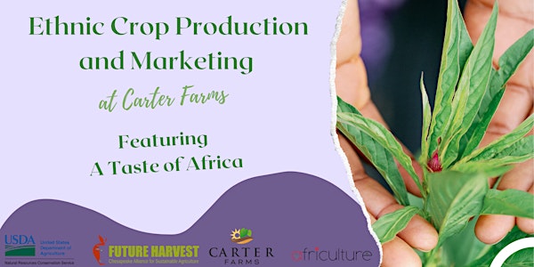 Ethnic Crop Production and Marketing