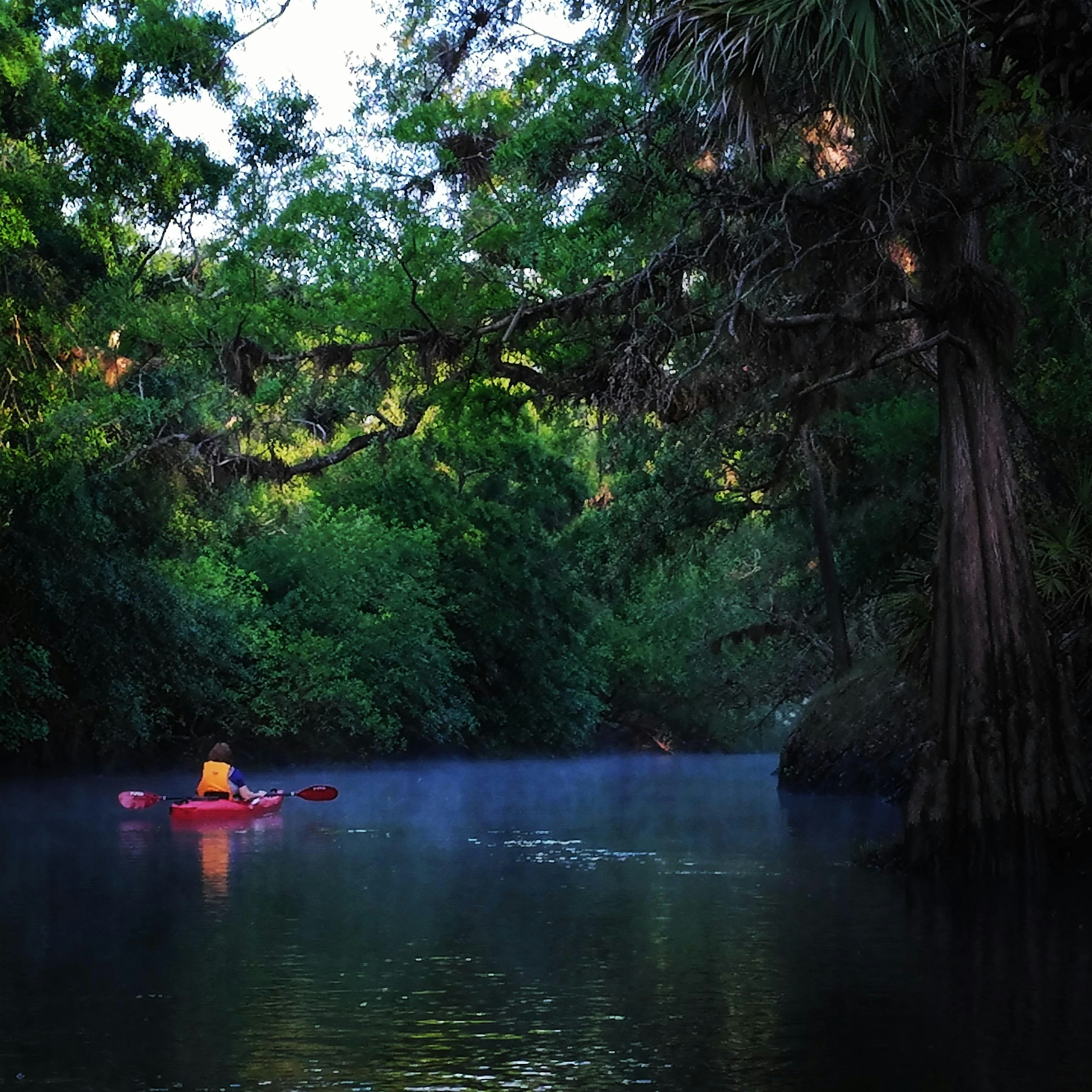 Get Back Into the Wild! Withlacoochee River