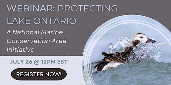 Protecting Lake Ontario: A National Marine Conservation Area Initiative