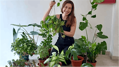 Basic Plant Care - How to have happy houseplants!
