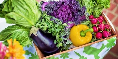 Summer Gardening