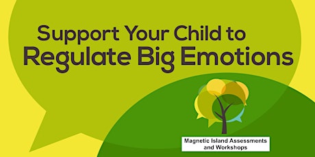 Primaire afbeelding van Magnetic Island: Support Your Child with Big Emotions