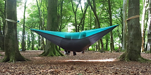 Home Ed, Unschooling and Hammocks- An 11+ Forest School based Community