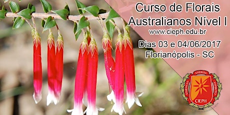 Imagem principal do evento CURSO DE FLORAIS DA AUSTRÁLIA NÍVEL I