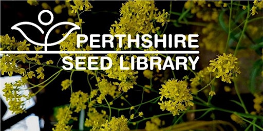 Perthshire Seed Library – Avoiding Accidental Hybrids