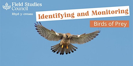 Identifying and Monitoring Birds of Prey