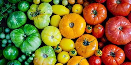 UBS - Wellness Wednesday: Superfood- Tomatoes