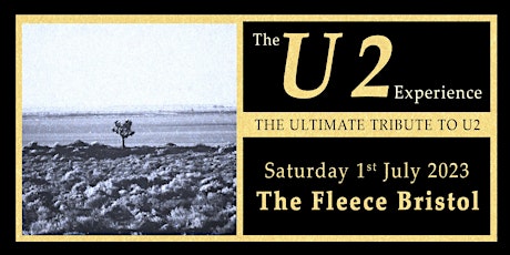 The U2 Experience